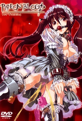 PIGEON  1st Training