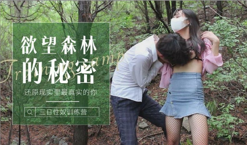 森林的秘密-还原现实里最真实的你 森林的秘密-还原现实里最真实的你