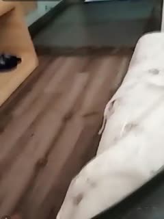 【在线】清纯小美眉公园搭讪玩手游小哥到小旅馆啪啪直播妹子搞得人有点杂 【在线】清纯小美眉公园搭讪玩手游小哥到小旅馆啪啪直播妹子搞得人有点杂